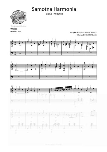 Samotna-Harmonia-Sława-Przybylska-accordion.jpg