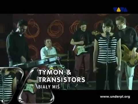 Biały miś - Tymon &amp; Transistors a.jpg