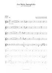 Ave Maria Jasnogórska (P. Rubik) - Zofia Nowakowska (nuty pdf)