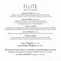 flute reflections d.jpg